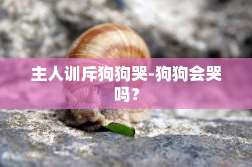 主人訓斥狗狗哭-狗狗會哭嗎？