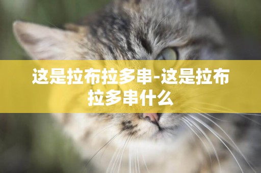 這是拉布拉多串-這是拉布拉多串什么