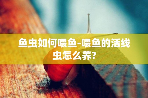 魚蟲如何喂魚-喂魚的活線蟲怎么養?