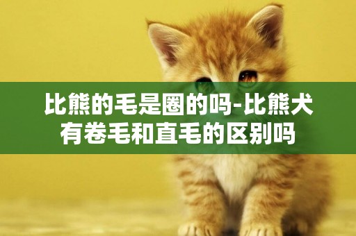 比熊的毛是圈的嗎-比熊犬有卷毛和直毛的區別嗎