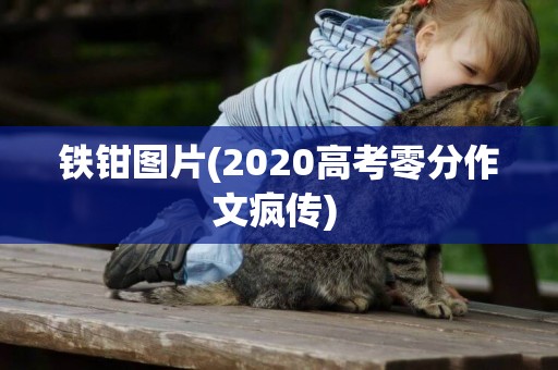 鐵鉗圖片(2020高考零分作文瘋傳) 