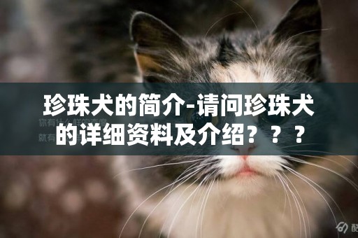 珍珠犬的簡介-請問珍珠犬的詳細資料及介紹？？？