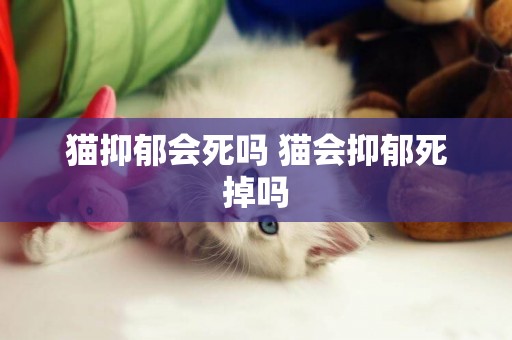 貓抑郁會死嗎 貓會抑郁死掉嗎