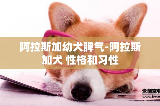 阿拉斯加幼犬脾氣-阿拉斯加犬 性格和習性
