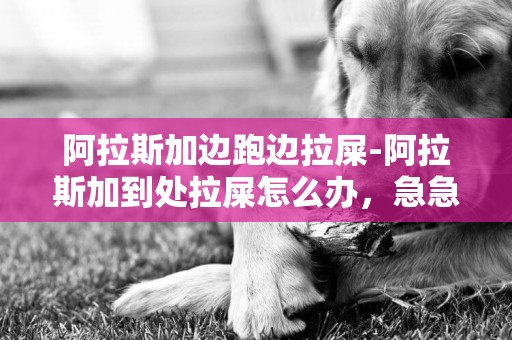 阿拉斯加邊跑邊拉屎-阿拉斯加到處拉屎怎么辦，急急，打完就跑，去報紙也不去，求愛狗者大家幫幫忙想想辦法