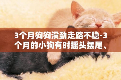 3個月狗狗沒勁走路不穩-3個月的小狗有時搖頭擺尾、走路不穩怎么回事