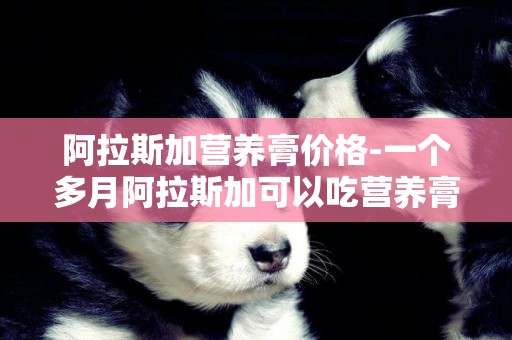 阿拉斯加營養膏價格-一個多月阿拉斯加可以吃營養膏嗎