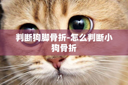 判斷狗腳骨折-怎么判斷小狗骨折
