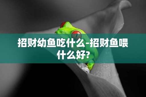 招財幼魚吃什么-招財魚喂什么好?