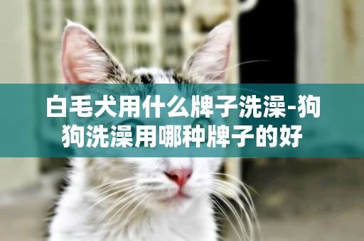 白毛犬用什么牌子洗澡-狗狗洗澡用哪種牌子的好