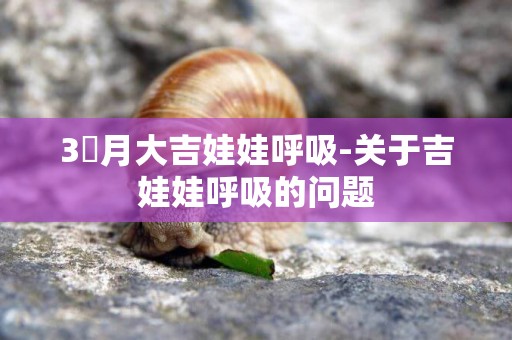 3個月大吉娃娃呼吸-關于吉娃娃呼吸的問題