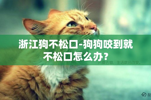 浙江狗不松口-狗狗咬到就不松口怎么辦？