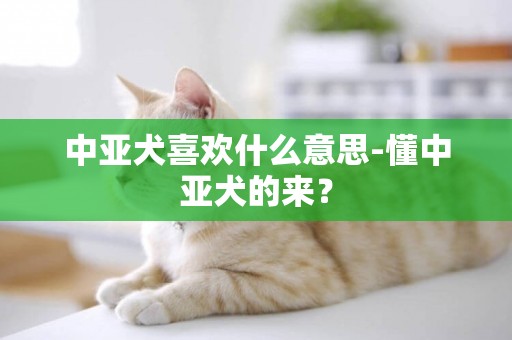 中亞犬喜歡什么意思-懂中亞犬的來？