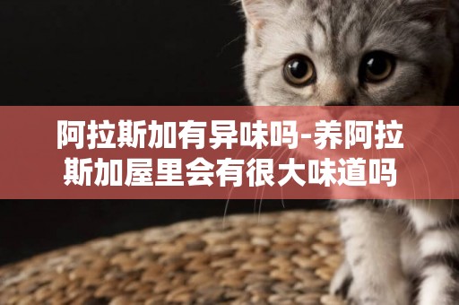 阿拉斯加有異味嗎-養阿拉斯加屋里會有很大味道嗎