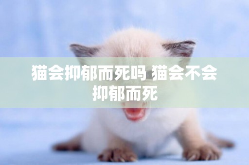 貓會抑郁而死嗎 貓會不會抑郁而死
