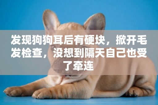 發現狗狗耳后有硬塊，掀開毛發檢查，沒想到隔天自己也受了牽連 
