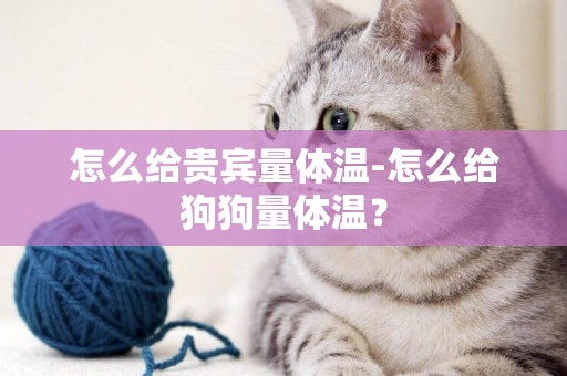 怎么給貴賓量體溫-怎么給狗狗量體溫？