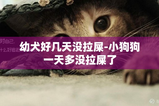 幼犬好幾天沒拉屎-小狗狗一天多沒拉屎了
