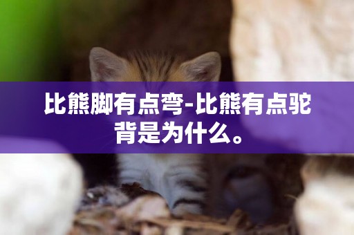 比熊腳有點彎-比熊有點駝背是為什么。