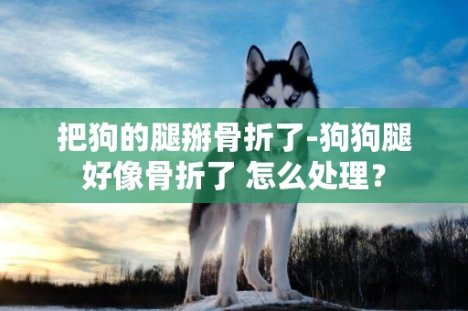 把狗的腿掰骨折了-狗狗腿好像骨折了 怎么處理？