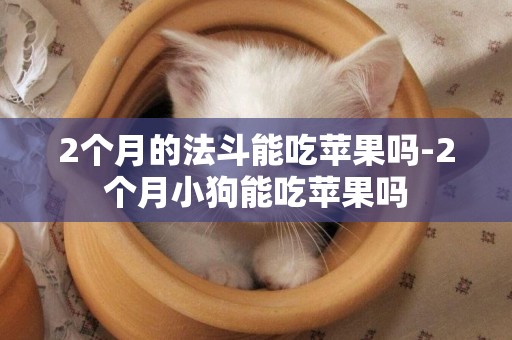 2個月的法斗能吃蘋果嗎-2個月小狗能吃蘋果嗎