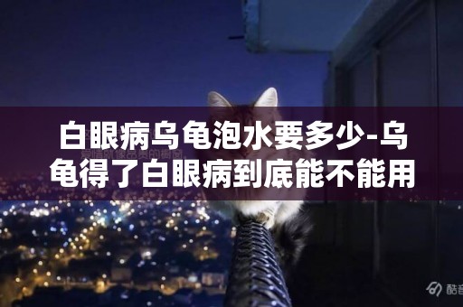白眼病烏龜泡水要多少-烏龜得了白眼病到底能不能用鹽水泡啊