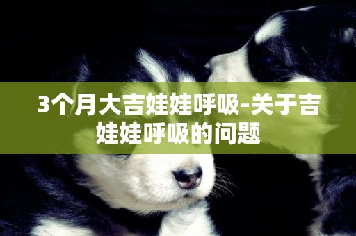 3個月大吉娃娃呼吸-關于吉娃娃呼吸的問題