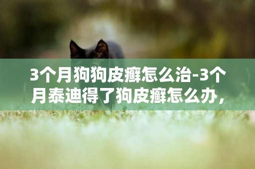 3個月狗狗皮癬怎么治-3個月泰迪得了狗皮癬怎么辦，三個月大的泰迪狗得了皮癬怎么治