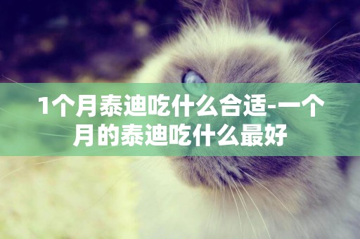 1個月泰迪吃什么合適-一個月的泰迪吃什么最好