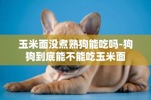 玉米面沒煮熟狗能吃嗎-狗狗到底能不能吃玉米面