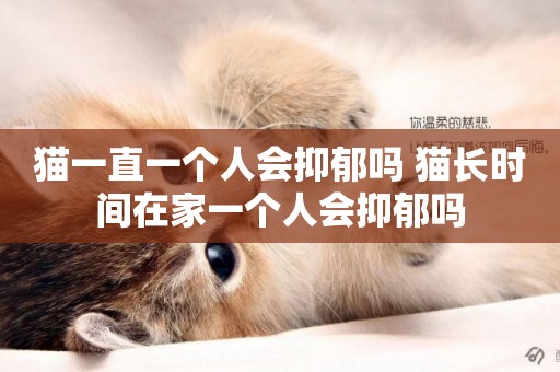 貓一直一個人會抑郁嗎 貓長時間在家一個人會抑郁嗎