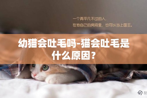 幼貓會吐毛嗎-貓會吐毛是什么原因？