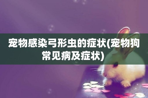 寵物感染弓形蟲的癥狀(寵物狗常見病及癥狀) 
