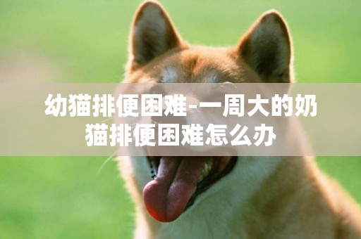 幼貓排便困難-一周大的奶貓排便困難怎么辦