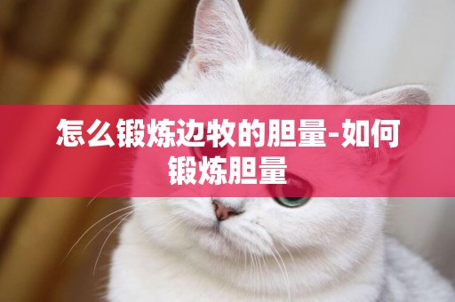 怎么鍛煉邊牧的膽量-如何鍛煉膽量