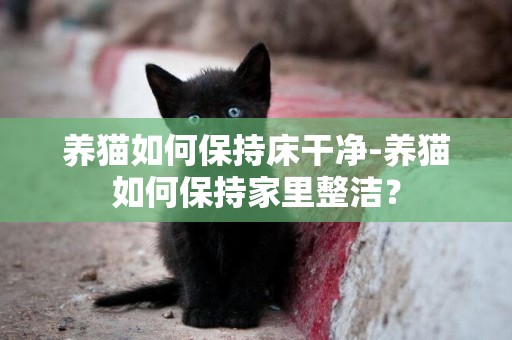 養貓如何保持床干凈-養貓如何保持家里整潔？