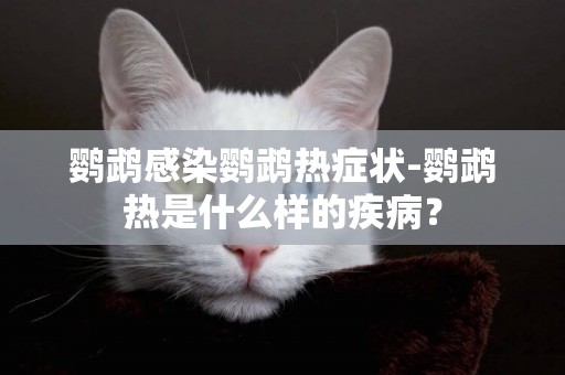 鸚鵡感染鸚鵡熱癥狀-鸚鵡熱是什么樣的疾病？