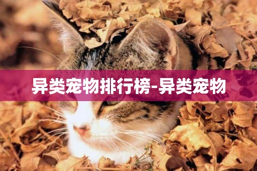 異類寵物排行榜-異類寵物