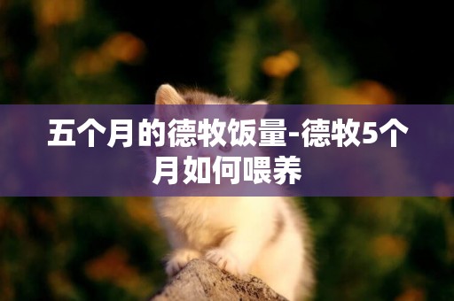 五個月的德牧飯量-德牧5個月如何喂養