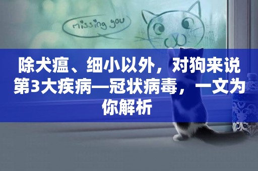 除犬瘟、細小以外，對狗來說第3大疾病—冠狀病毒，一文為你解析 