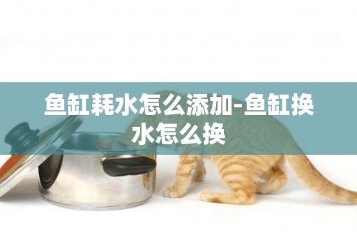 魚缸耗水怎么添加-魚缸換水怎么換