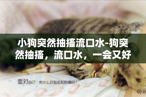 小狗突然抽搐流口水-狗突然抽搐，流口水，一會又好了，怎么回事？