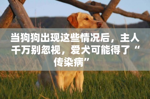 當狗狗出現這些情況后，主人千萬別忽視，愛犬可能得了“傳染病” 