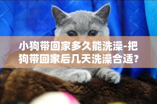 小狗帶回家多久能洗澡-把狗帶回家后幾天洗澡合適？