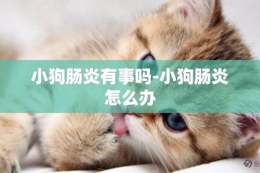 小狗腸炎有事嗎-小狗腸炎怎么辦