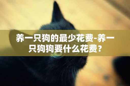 養一只狗的最少花費-養一只狗狗要什么花費？