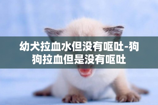 幼犬拉血水但沒有嘔吐-狗狗拉血但是沒有嘔吐