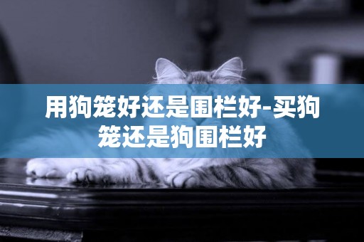用狗籠好還是圍欄好-買狗籠還是狗圍欄好
