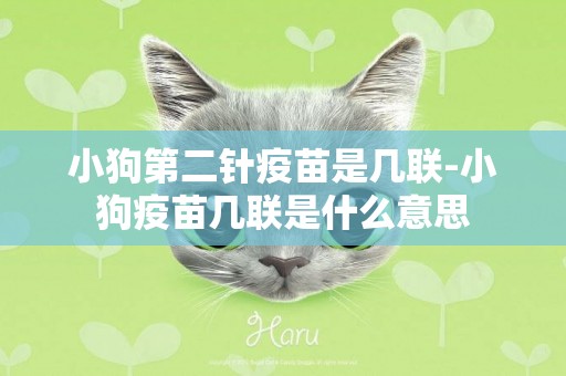 小狗第二針疫苗是幾聯-小狗疫苗幾聯是什么意思