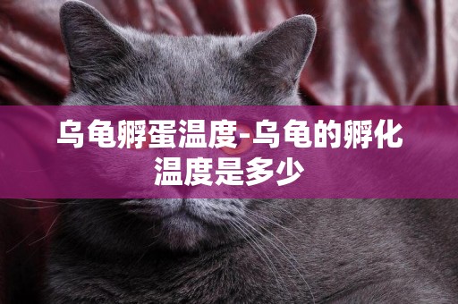 烏龜孵蛋溫度-烏龜的孵化溫度是多少